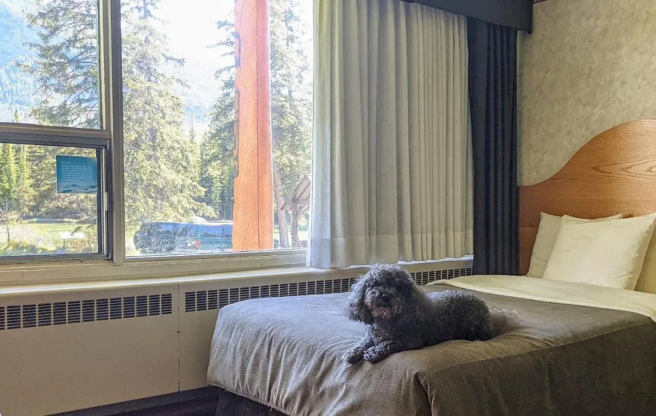 Bow View Lodge Banff